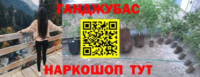 гашик Аргун