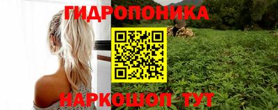 гашик Аргун