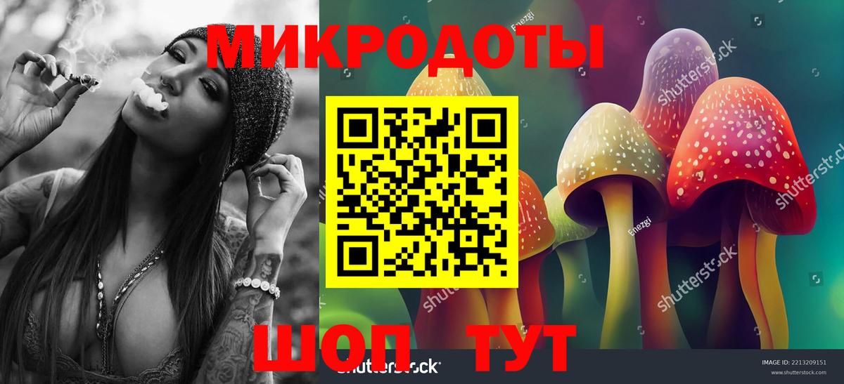 Псилоцибиновые грибы GOLDEN TEACHER Баксан